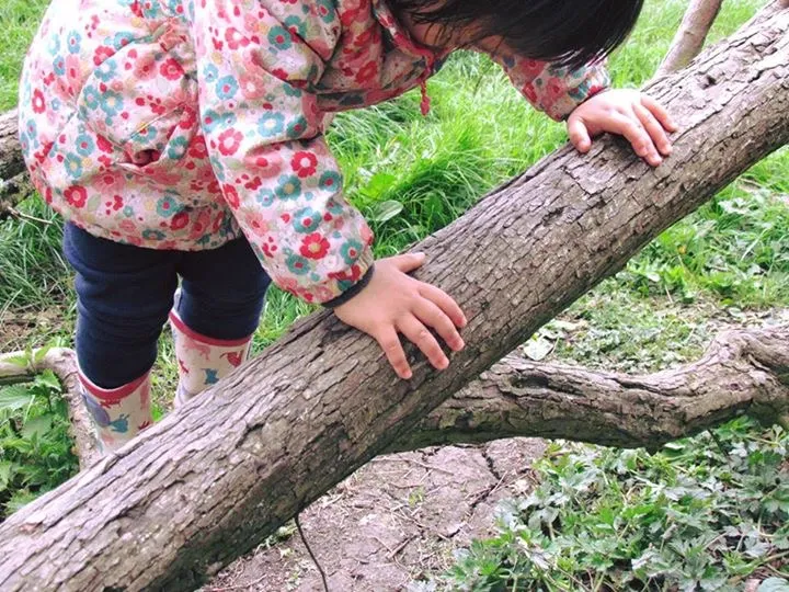 climbing a tree