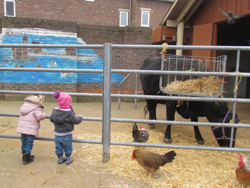 visiting animals at a nearby farm