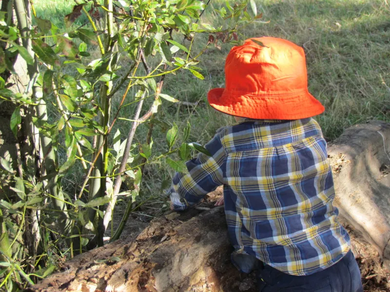 one of our children enjoying touching grass